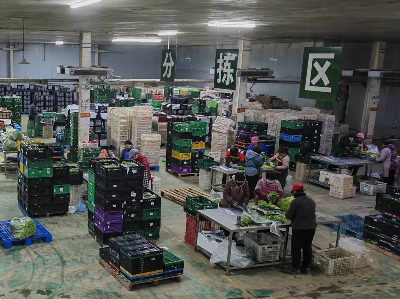 上海日用品批发市场动态一览